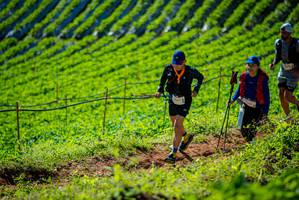 BIB: 
                            <button type="button" onclick="openModal(19161498)" class="btn btn-primary btn-sm float-right btn-popup" data-toggle="modal" data-target=".modal-high-quality">
                        <i class="fas fa-shopping-cart"></i> Add to Cart
                    </button>
                                            <button type="button" onclick="isThisMe(19161498, true)" class="btn btn-success btn-sm float-right btn-popup btn-isme hidden" data-toggle="tooltip" data-placement="bottom" title="นี่คือรูปของคุณใช่ไหม คลิกที่นี่เพื่อเอาเข้าอัลบั้ม">
                        <i class="fas fa-plus"></i> Add to album
                    </button>
                    <button type="button" onclick="isThisMe(19161498, false)" class="btn btn-warning btn-sm float-right btn-popup btn-isnotme hidden">
                        <i class="fas fa-ban"></i> Remove from album
                    </button>